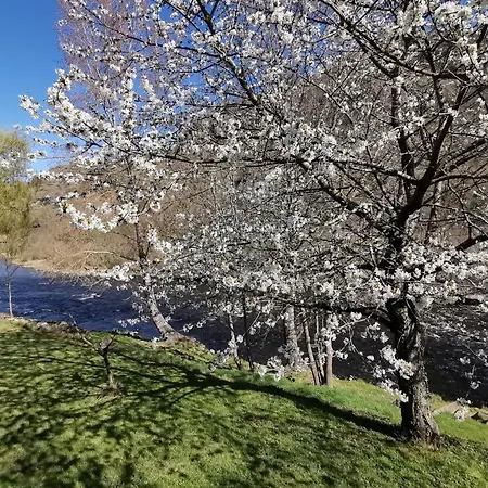 Chaleureux 6 Pers Avec Cour Privée En Bord De Rivière Près De Langeac - Fr-1-582-11 Hébergement de vacances