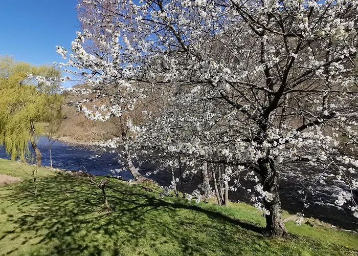 Chaleureux 6 Pers Avec Cour Privee En Bord De Riviere Pres De Langeac - Fr-1-582-11 Tatil Evi